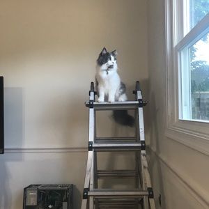 Meet your Posher, Jackie